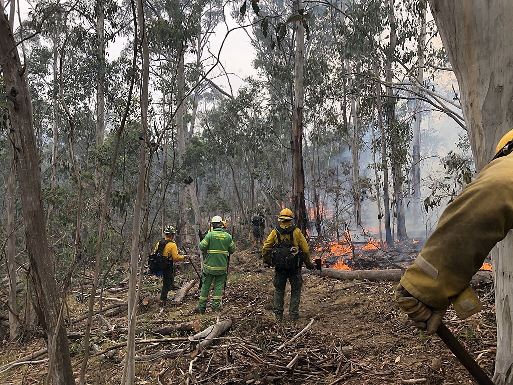 Idaho emergency services working in the Australian bush to combat the damage caused by bush fires.